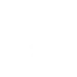 The Squid Studios_Logo_Wortmarke